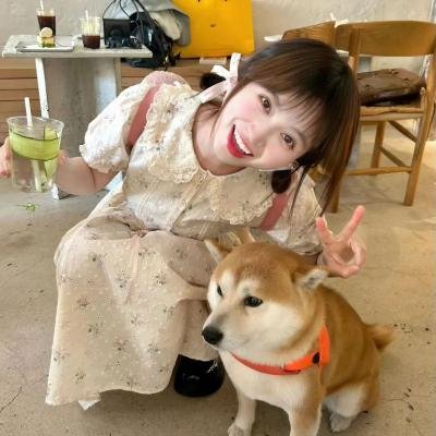 金羚羊